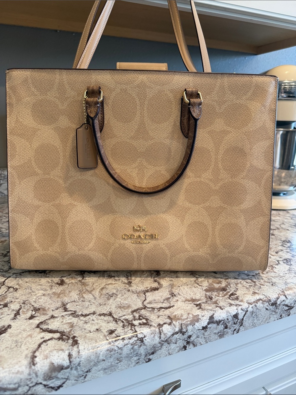 Coach Beige Signature Canvas Tote Bag - Coach - Picture 2 of 15